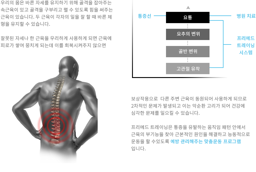 예방트레이닝